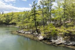 Riverfront Retreat for Families & Creatives | Dock + Views - Image 2