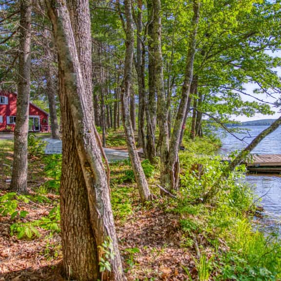 Lakefront Retreat with Private Docks & Kayaks - Image 1